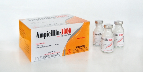 ampicilin 1000
