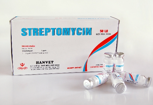 sptreptomycin