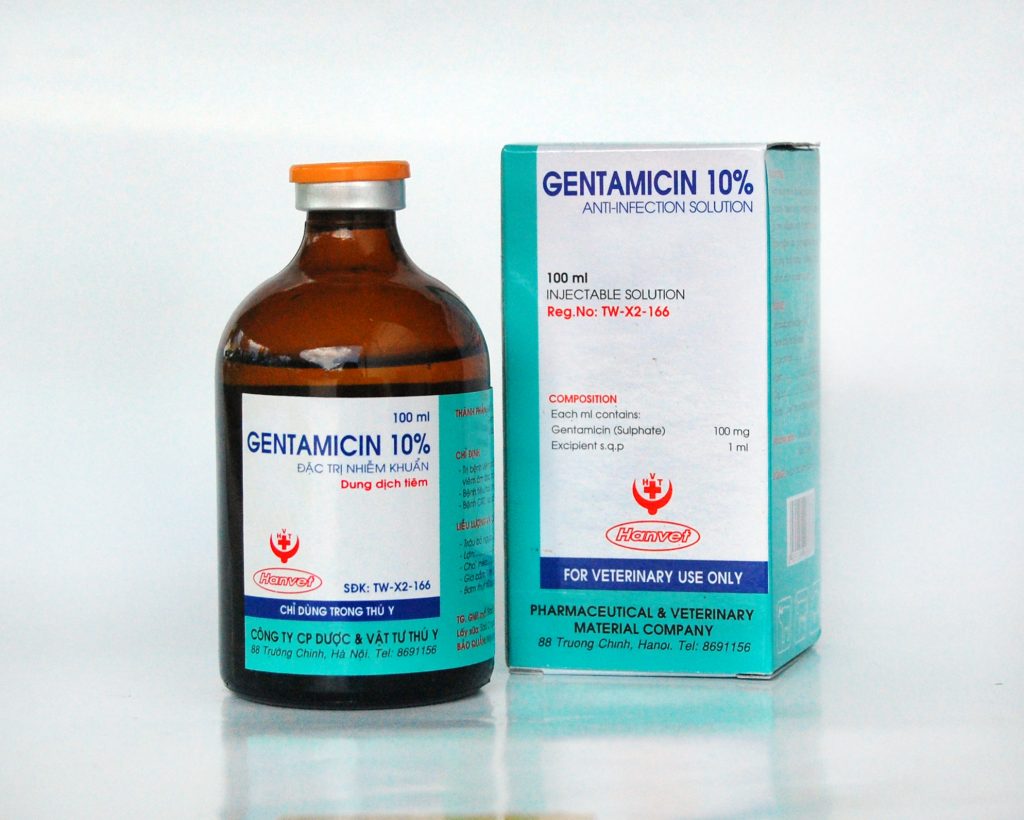 gentamicin 10