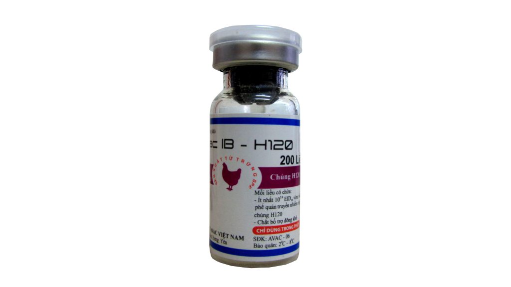 ib-h120